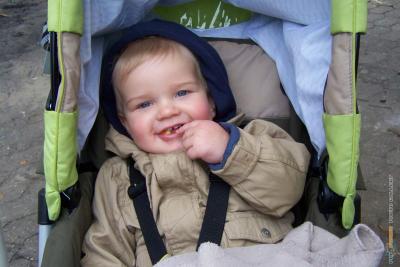 herbst_2011_260.jpg