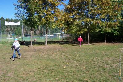 herbst_2011_342.jpg
