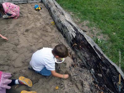 sommer_2014_135.jpg